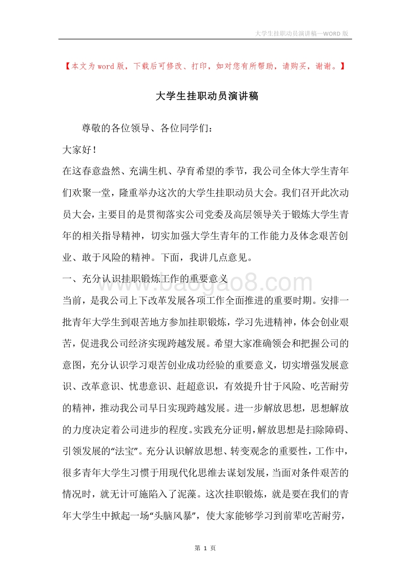 大学生挂职动员演讲稿.docx_第1页