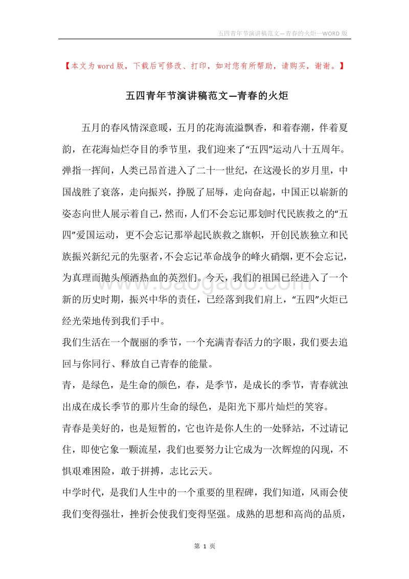 五四青年节演讲稿范文—青春的火炬.docx_第1页