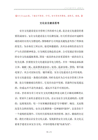 文化安全建设思考.docx