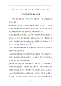 十七大代表谈统筹城乡发展.docx