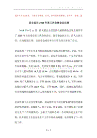 县安监局2019年第三次全体会议纪要.docx