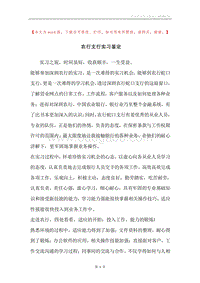 农行支行实习鉴定.docx