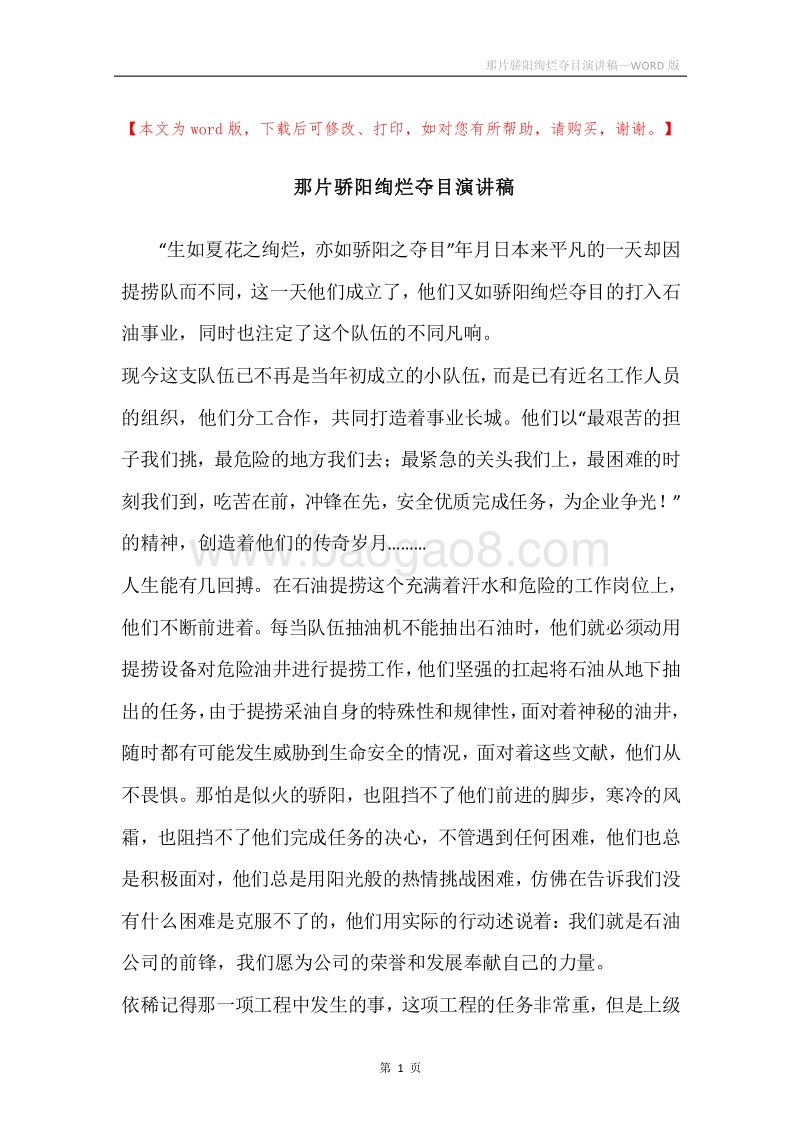 那片骄阳绚烂夺目演讲稿.docx_第1页