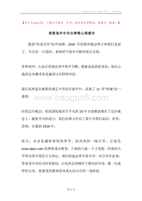观看兔年中央台春晚心得感言.docx