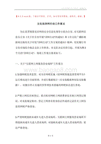 文化局净网行动工作要点.docx