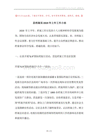 县档案局2019年上年工作小结.docx