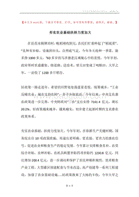 夯实农业基础扶持力度加大.docx