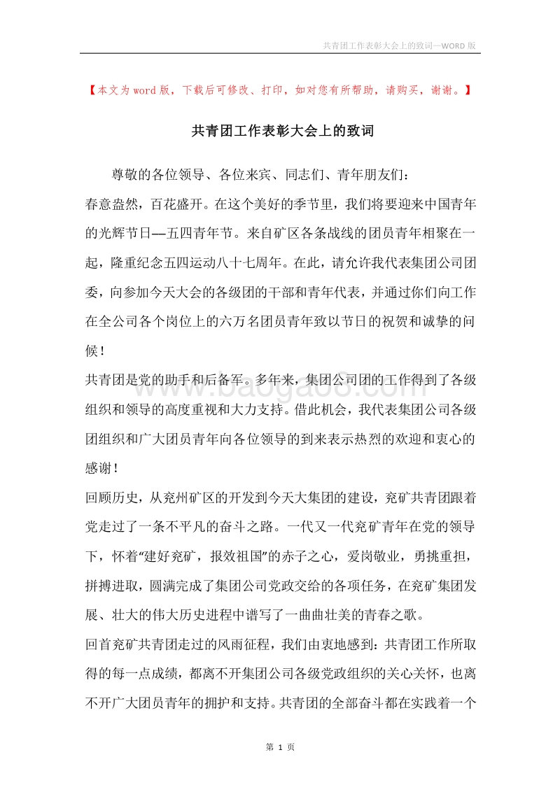 共青团工作表彰大会上的致词.docx_第1页