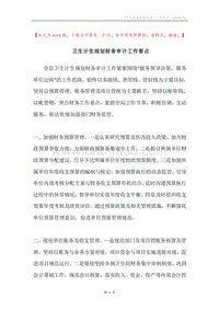 卫生计生规划财务审计工作要点.docx