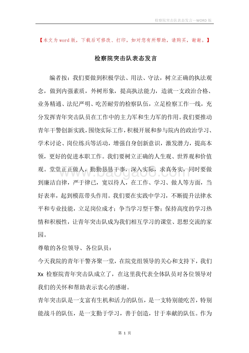 检察院突击队表态发言.docx_第1页