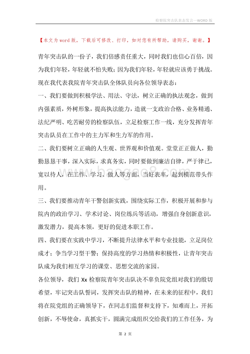 检察院突击队表态发言.docx_第2页