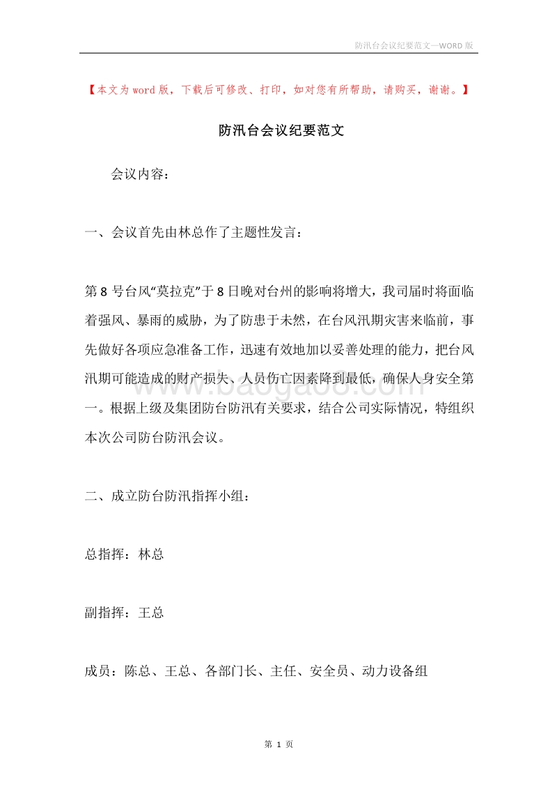 防汛台会议纪要范文.docx_第1页