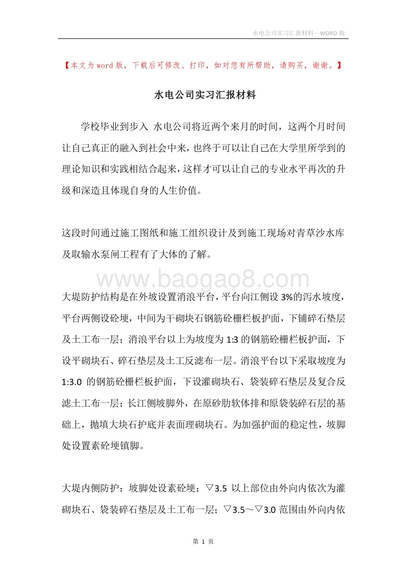 水电公司实习汇报材料.docx_第1页