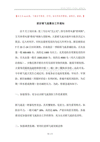 抓好稻飞虱整治工作通知.docx