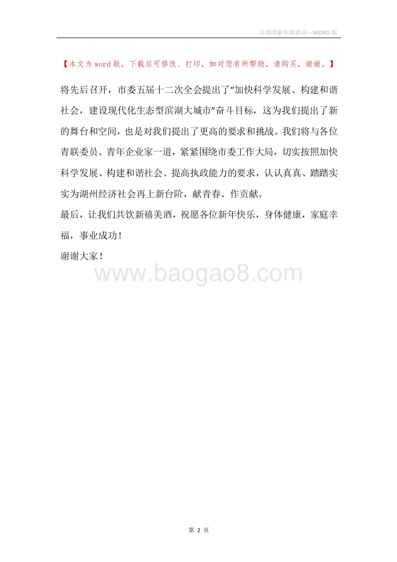 共青团新年祝酒词.docx_第2页