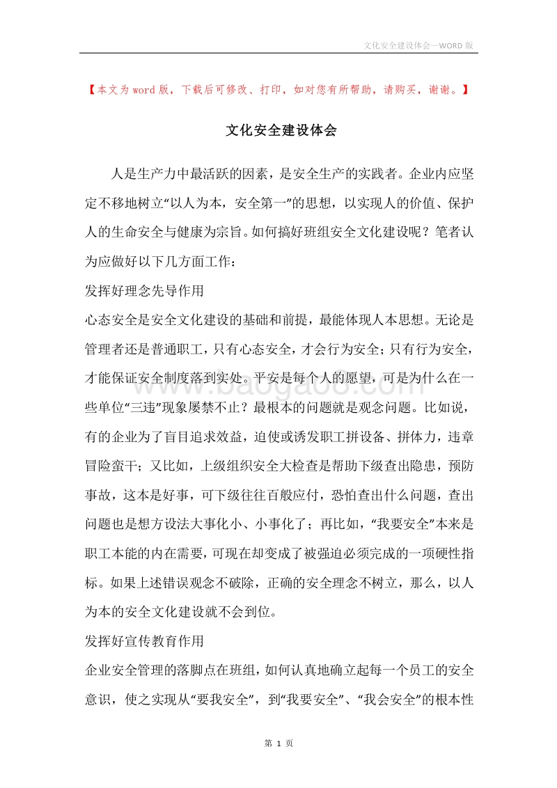 文化安全建设体会.docx_第1页