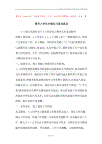 城市大学生乡镇实习鉴定报告.docx