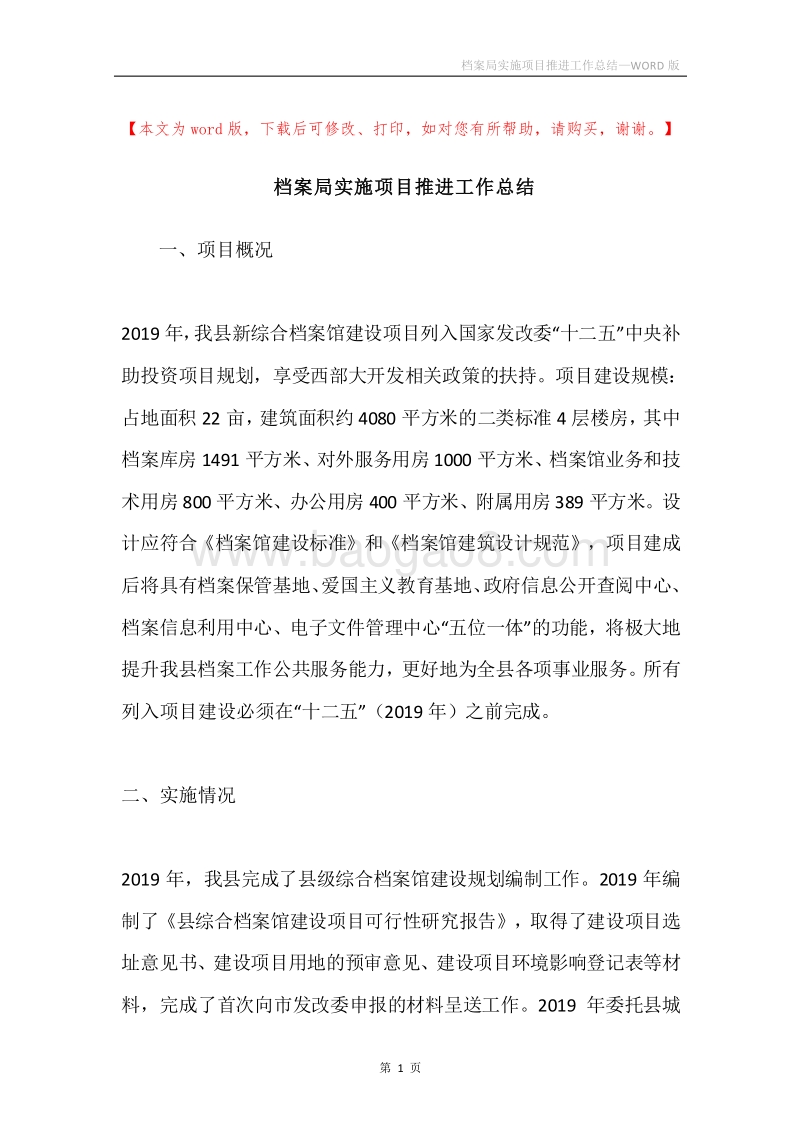 档案局实施项目推进工作总结.docx_第1页
