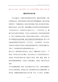 藏地密码的读后感.docx