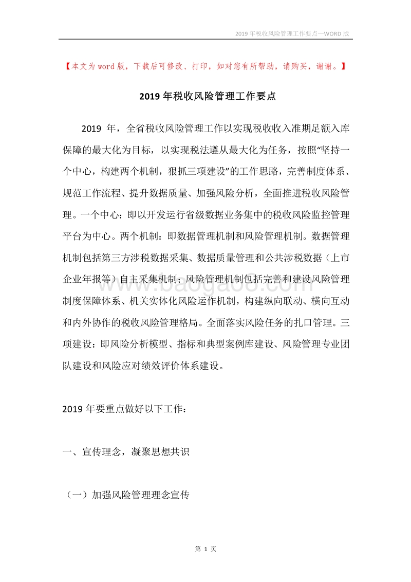 2019年税收风险管理工作要点.docx_第1页