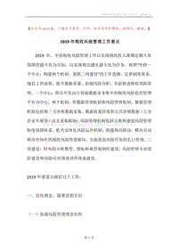 2019年税收风险管理工作要点.docx