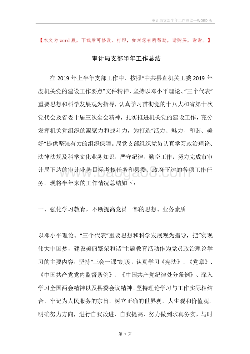 审计局支部半年工作总结.docx_第1页