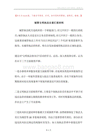 城管文明执法自查汇报材料.docx