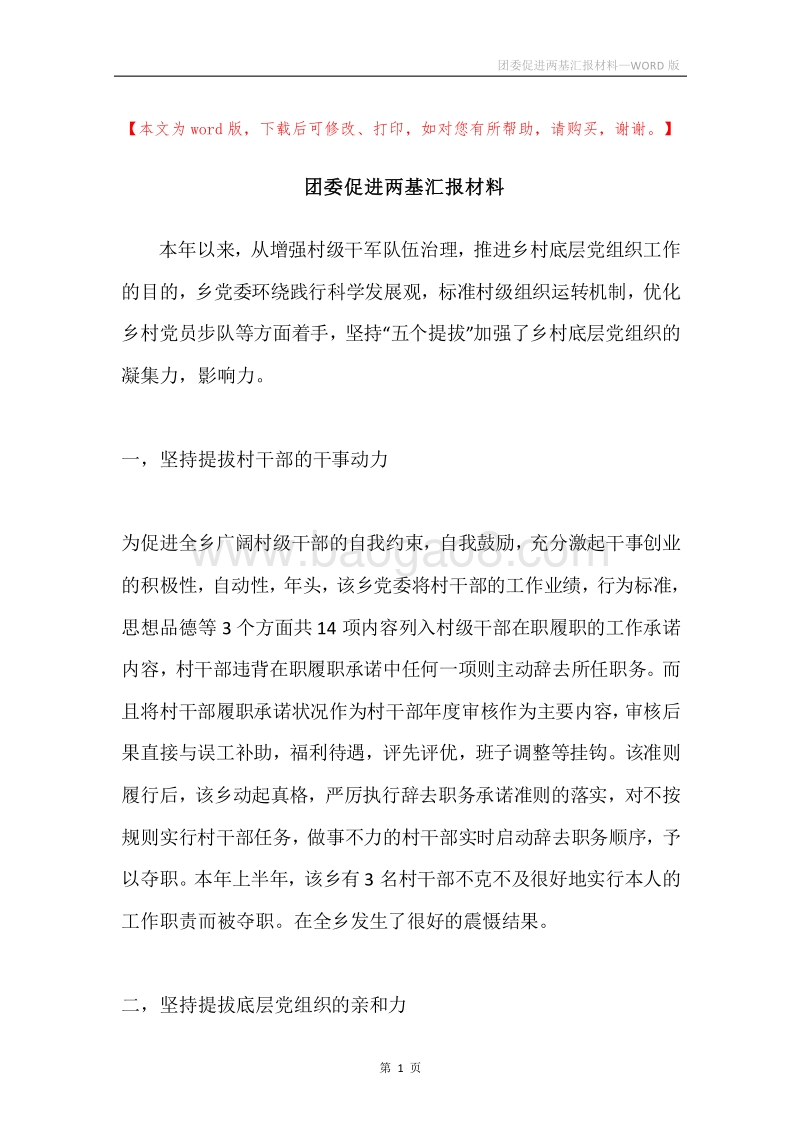团委促进两基汇报材料.docx_第1页