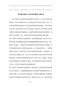 劳动就业服务工作科学发展观心得体会.docx
