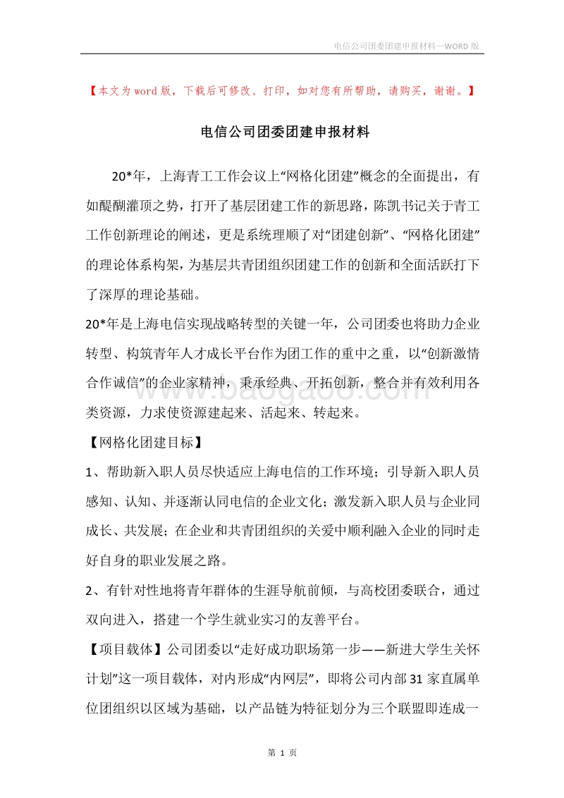 电信公司团委团建申报材料_1.docx_第1页