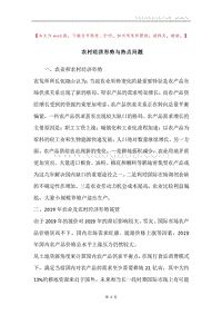 农村经济形势与热点问题.docx