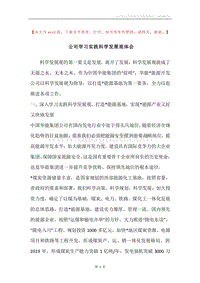 公司学习实践科学发展观体会.docx