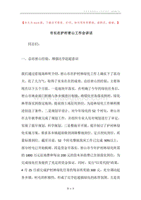 市长在护村密山工作会讲话.docx