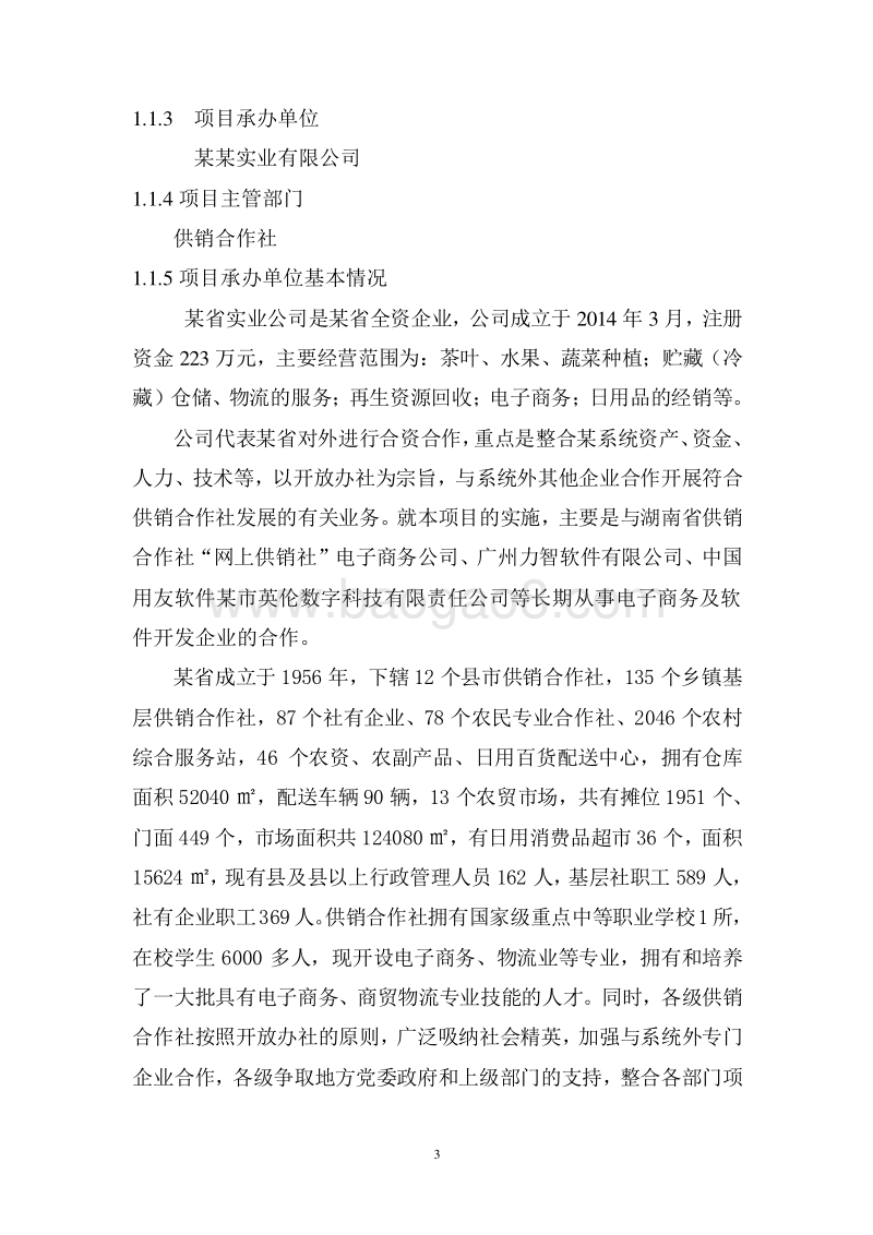农村电子商务平台搭建工程商业计划书.doc_第3页