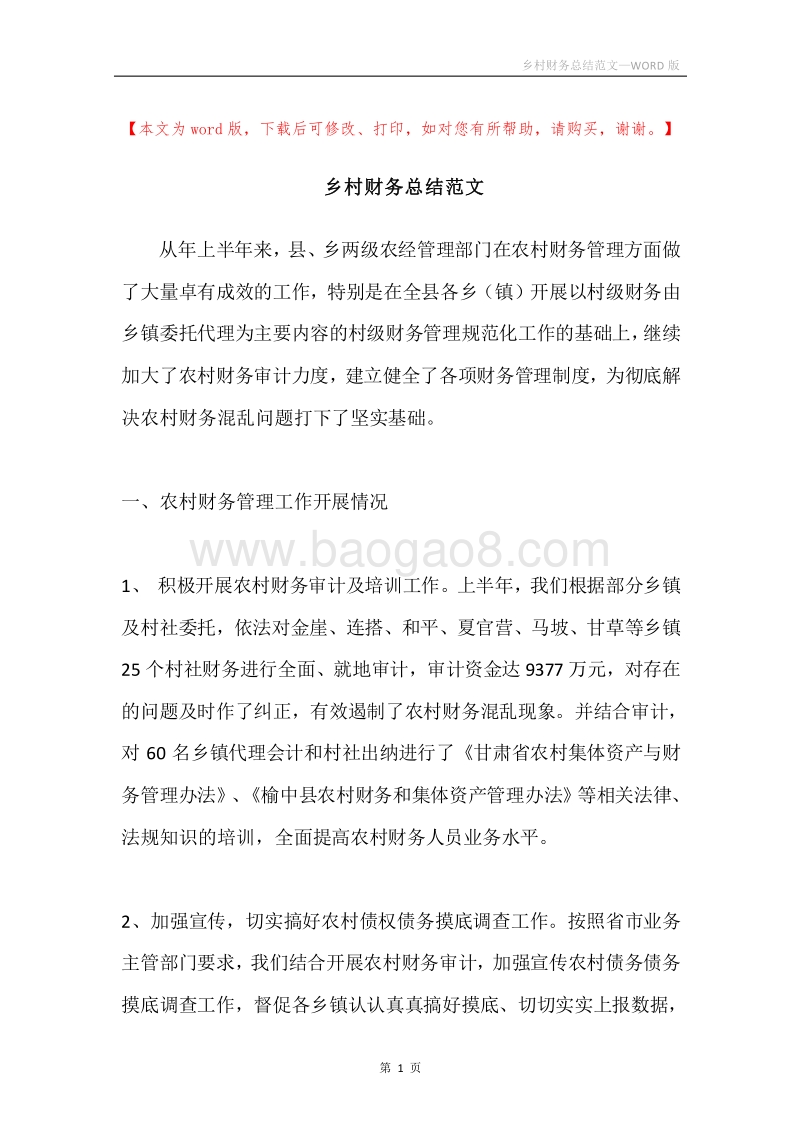 乡村财务总结范文.docx_第1页