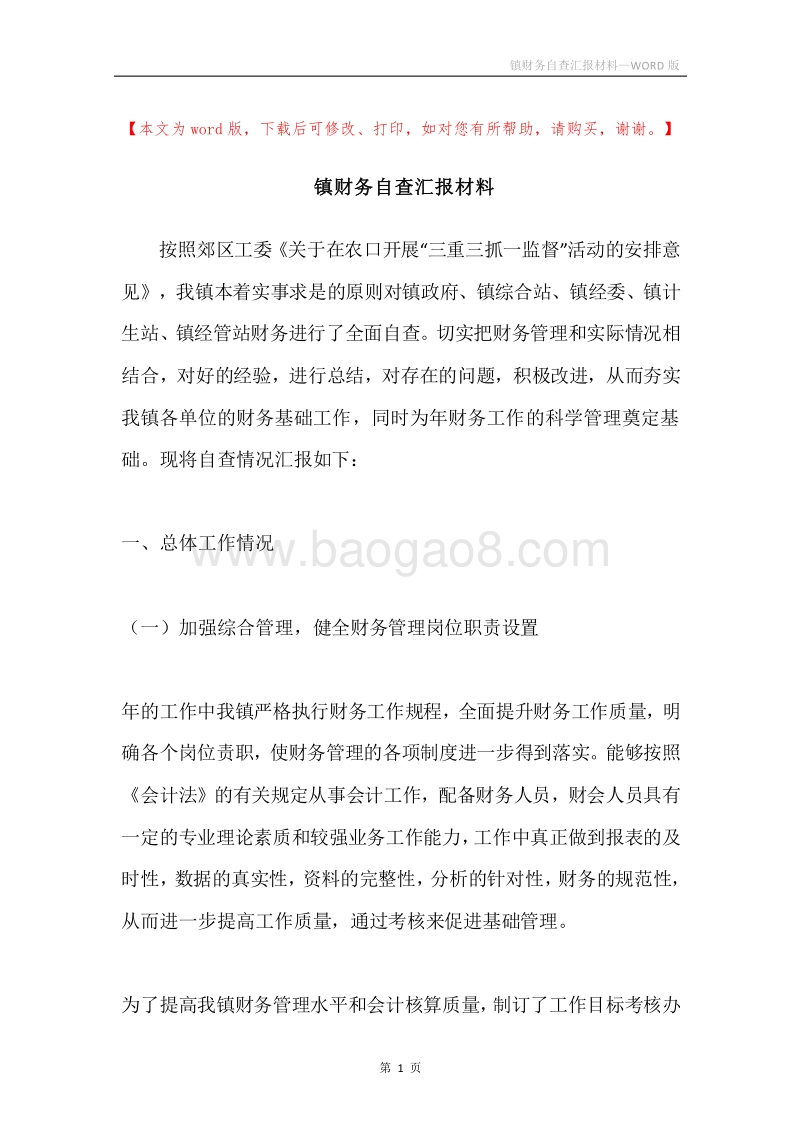 镇财务自查汇报材料.docx_第1页