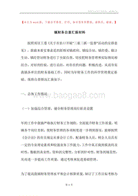 镇财务自查汇报材料.docx