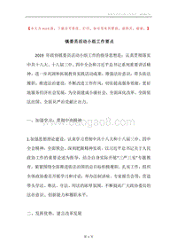 镇委员活动小组工作要点.docx