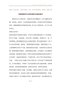 积极探索符合实际的新农村建设路子.docx