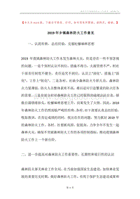2019年乡镇森林防火工作意见.docx