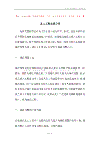 重大工程建设办法.docx