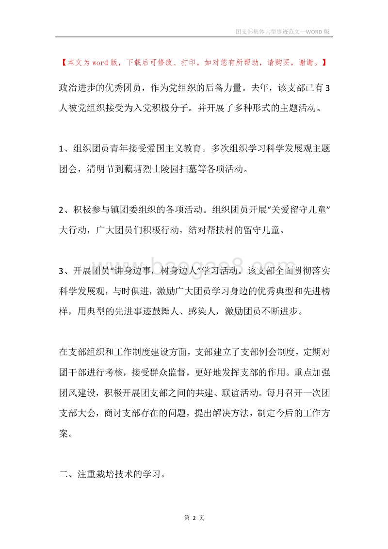 团支部集体典型事迹范文.docx_第2页