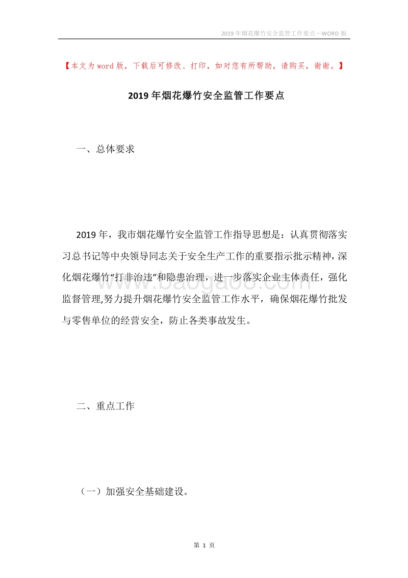2019年烟花爆竹安全监管工作要点.docx_第1页