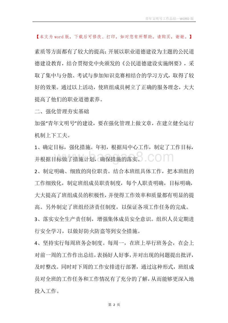 青年文明号工作总结.docx_第2页