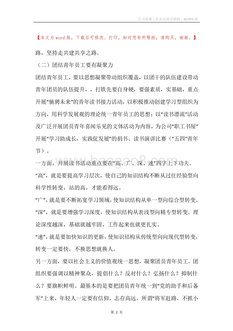 公司团委工作会议讲话材料.docx_第2页