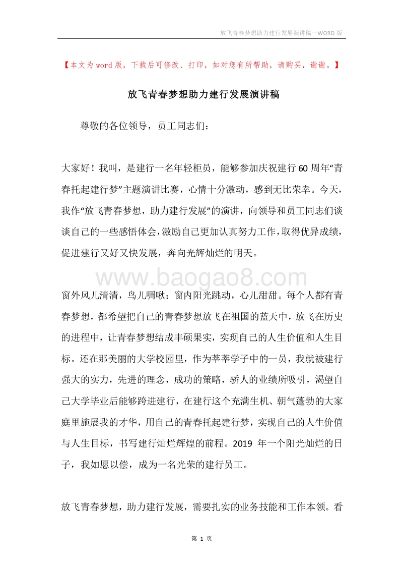 放飞青春梦想助力建行发展演讲稿.docx_第1页