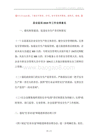 县安监局2019年工作安排意见.docx