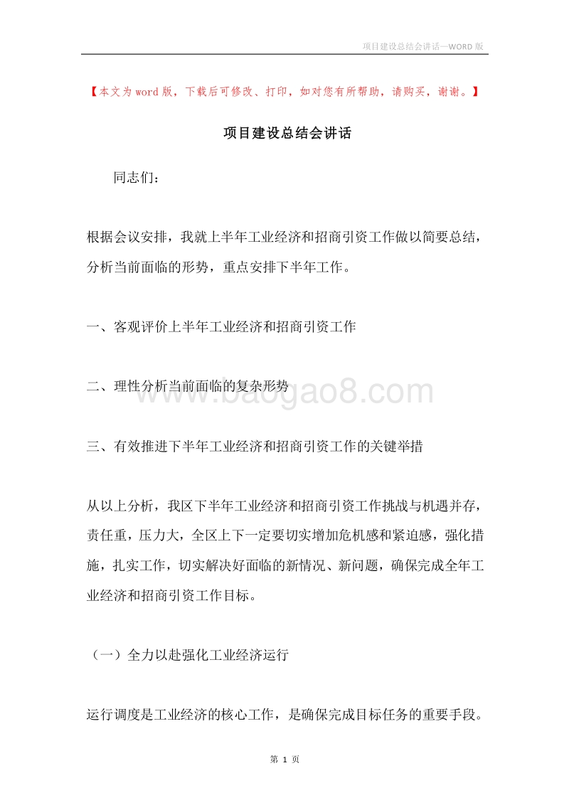 项目建设总结会讲话.docx_第1页