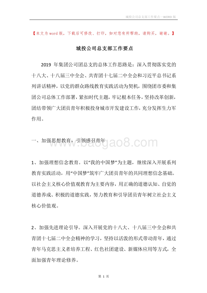 城投公司总支部工作要点.docx_第1页