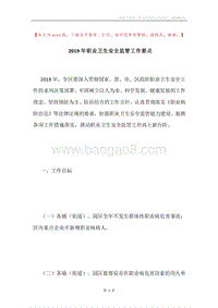 2019年职业卫生安全监管工作要点.docx